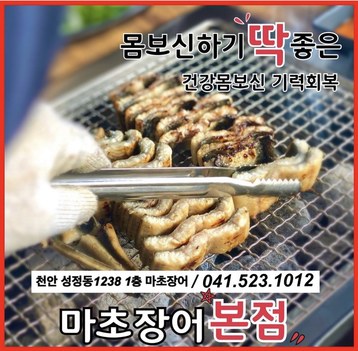 Machojangeo (마초장어) 2