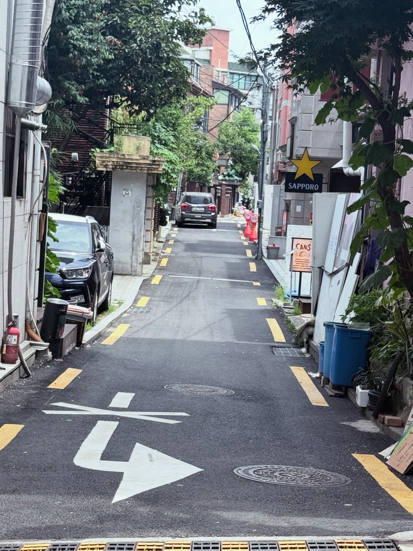 캐로타 사진 7