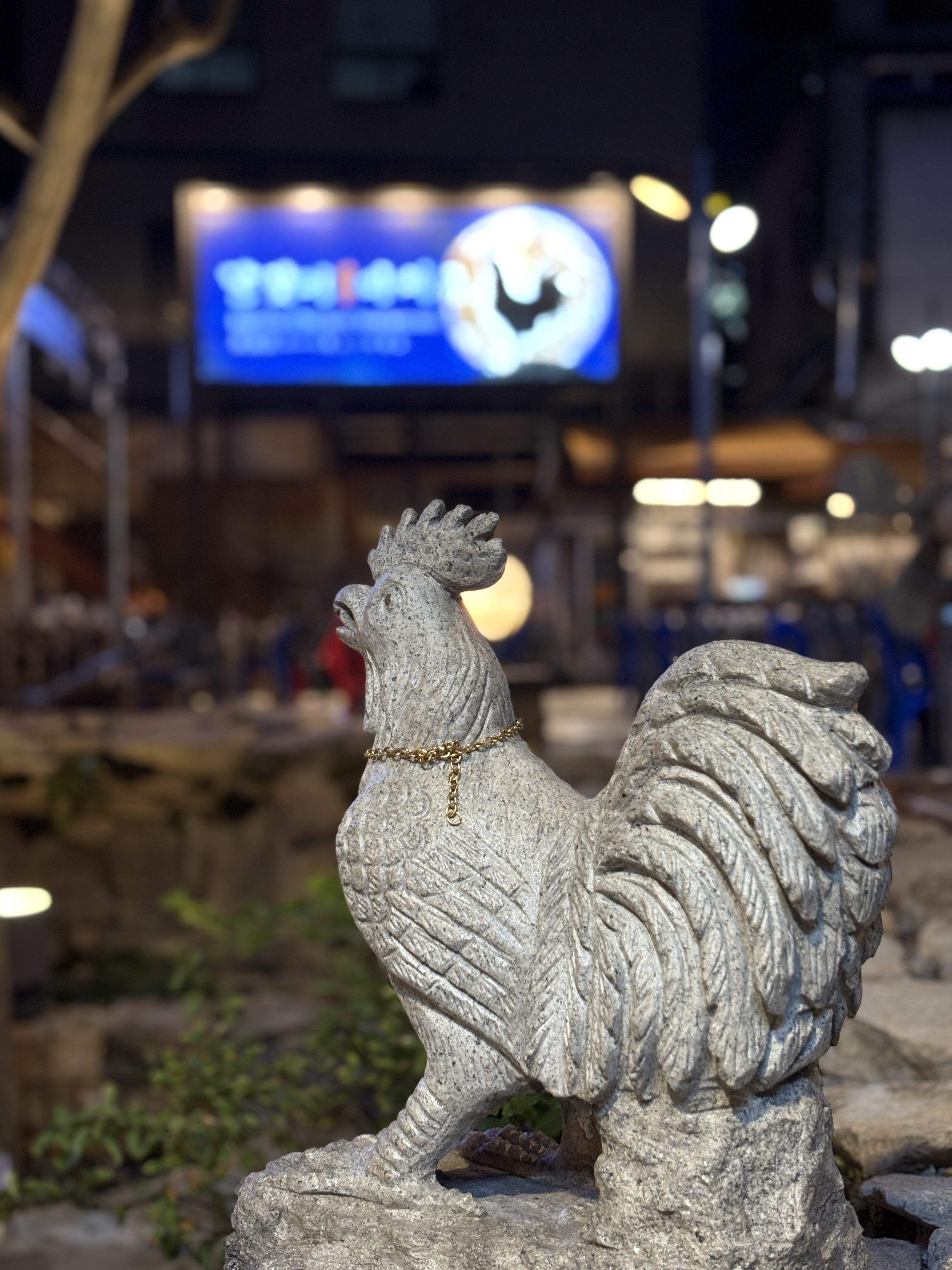 달맞이광장바베큐 사진 5
