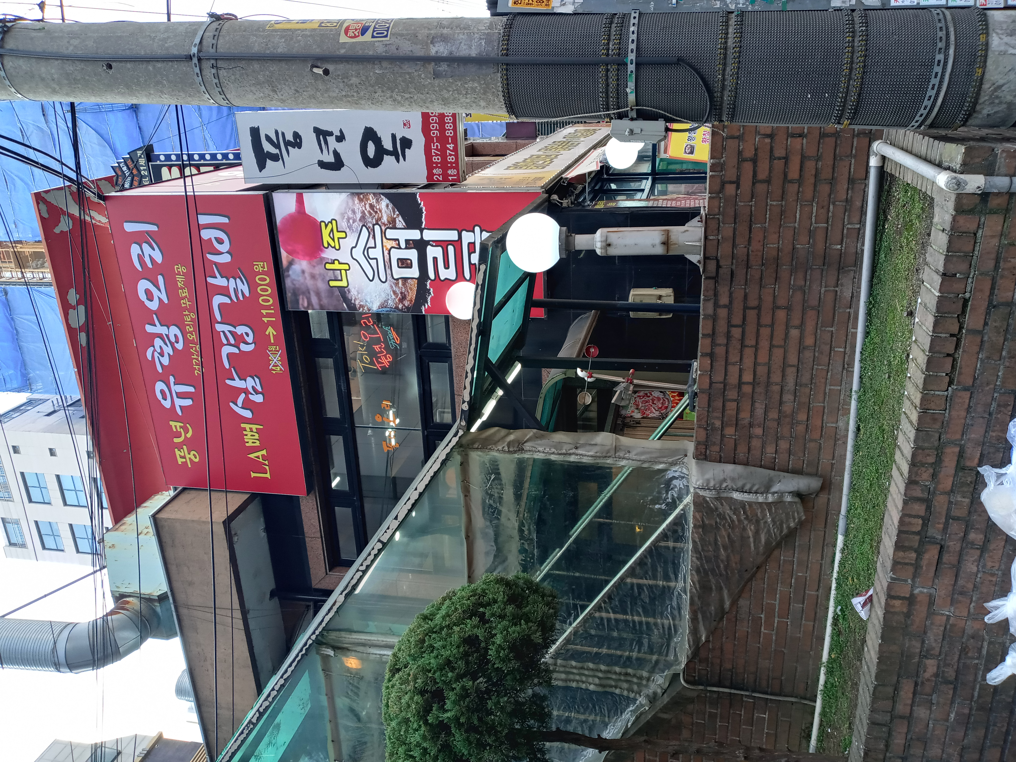 풍년오리 사진 7