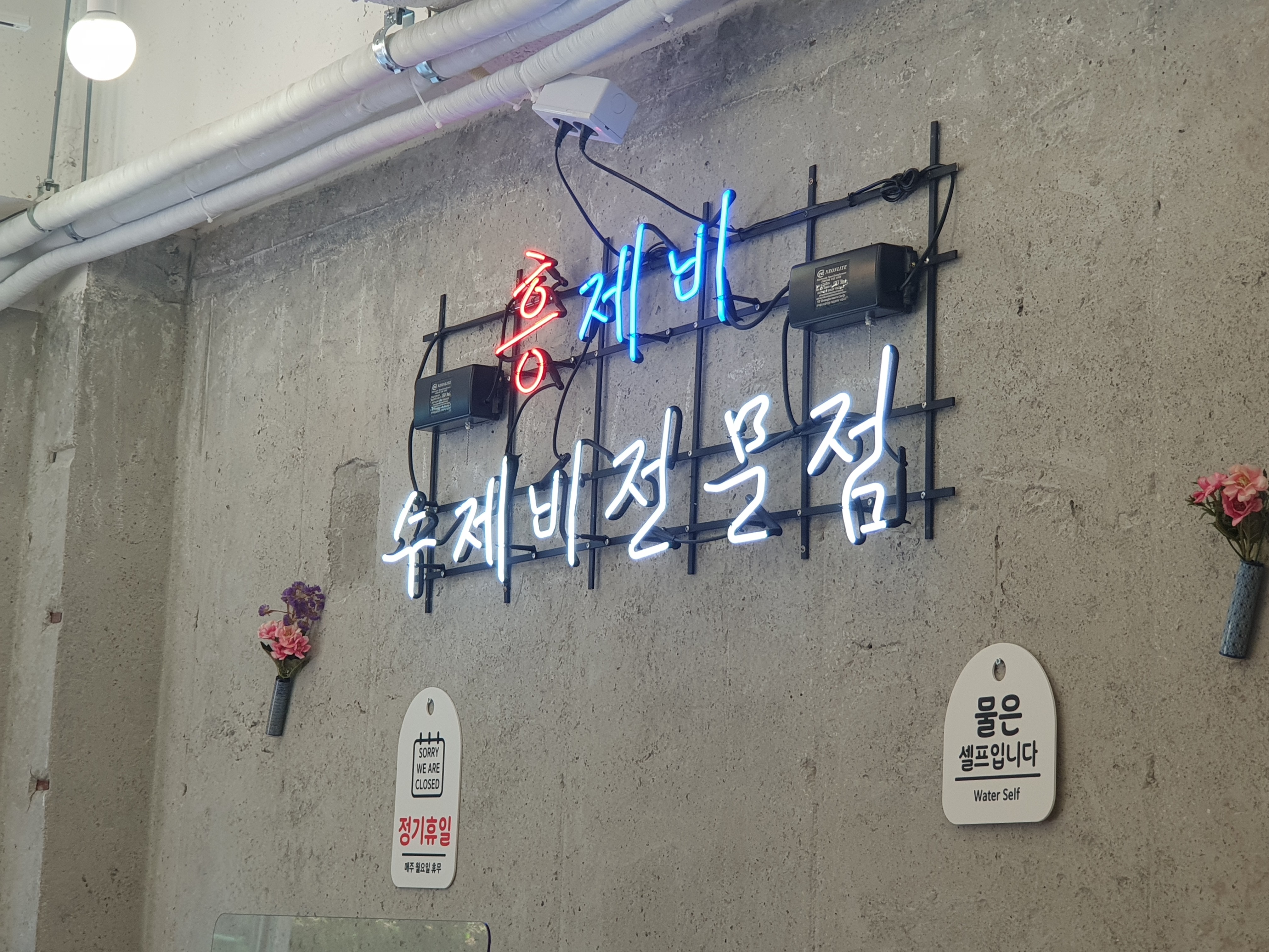 흥제비 대표 사진