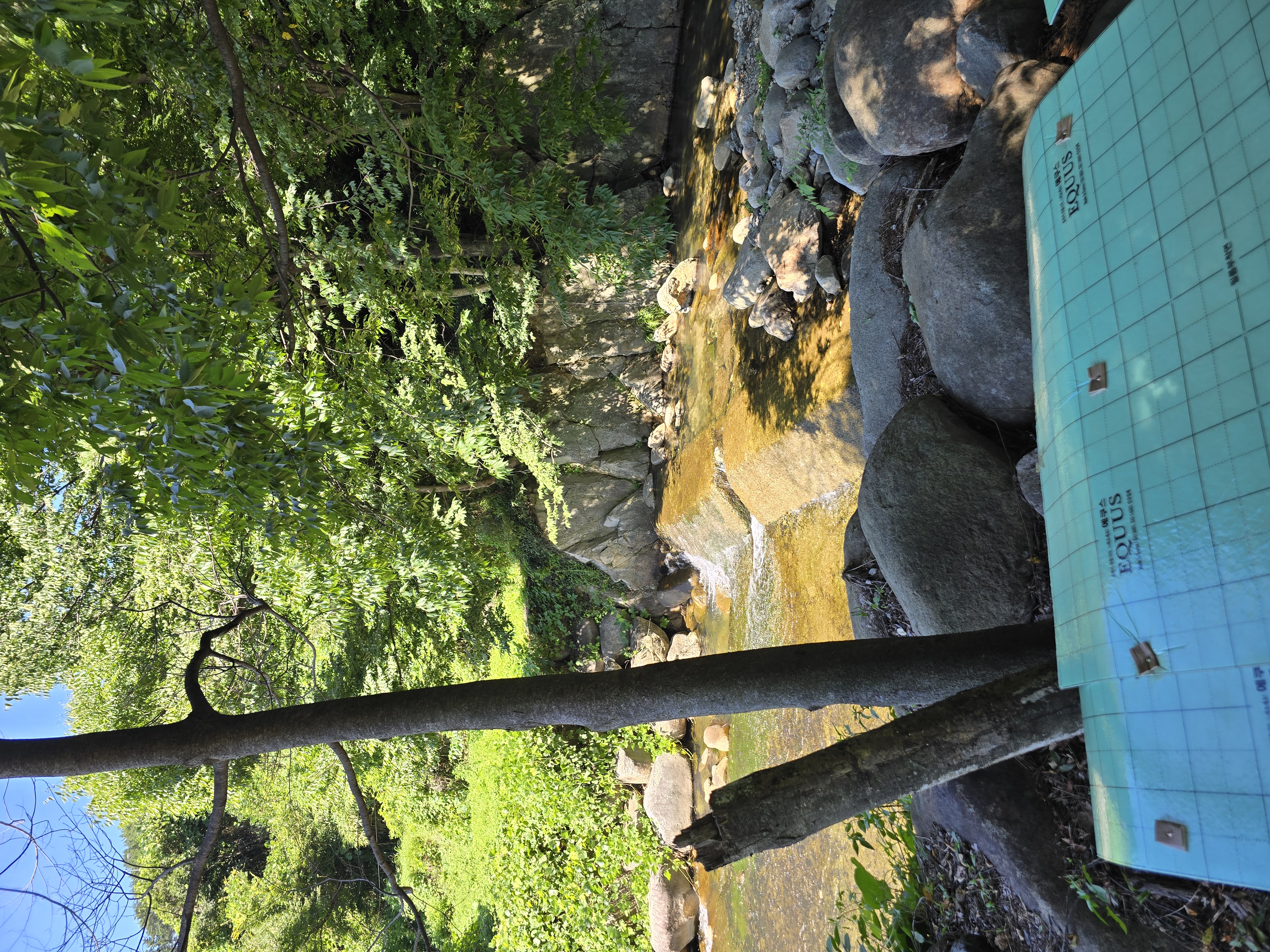Sanchonsikdang (산촌식당) 2