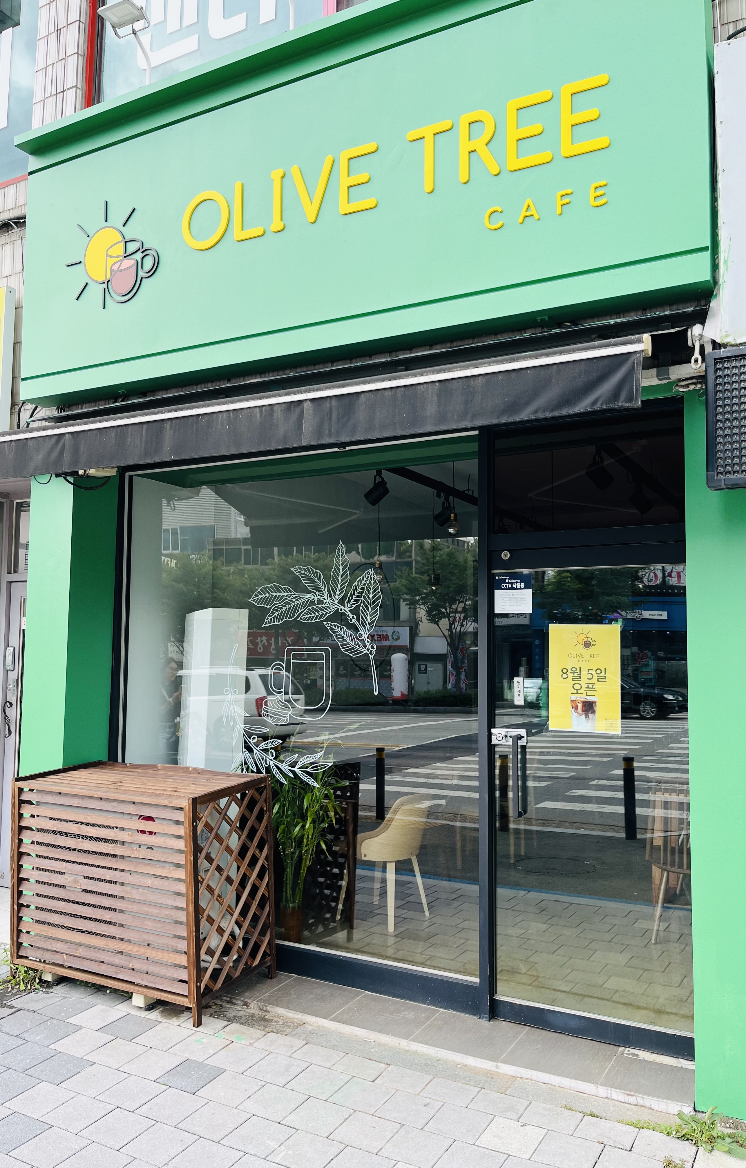Ollibeuteuri (올리브트리) 1