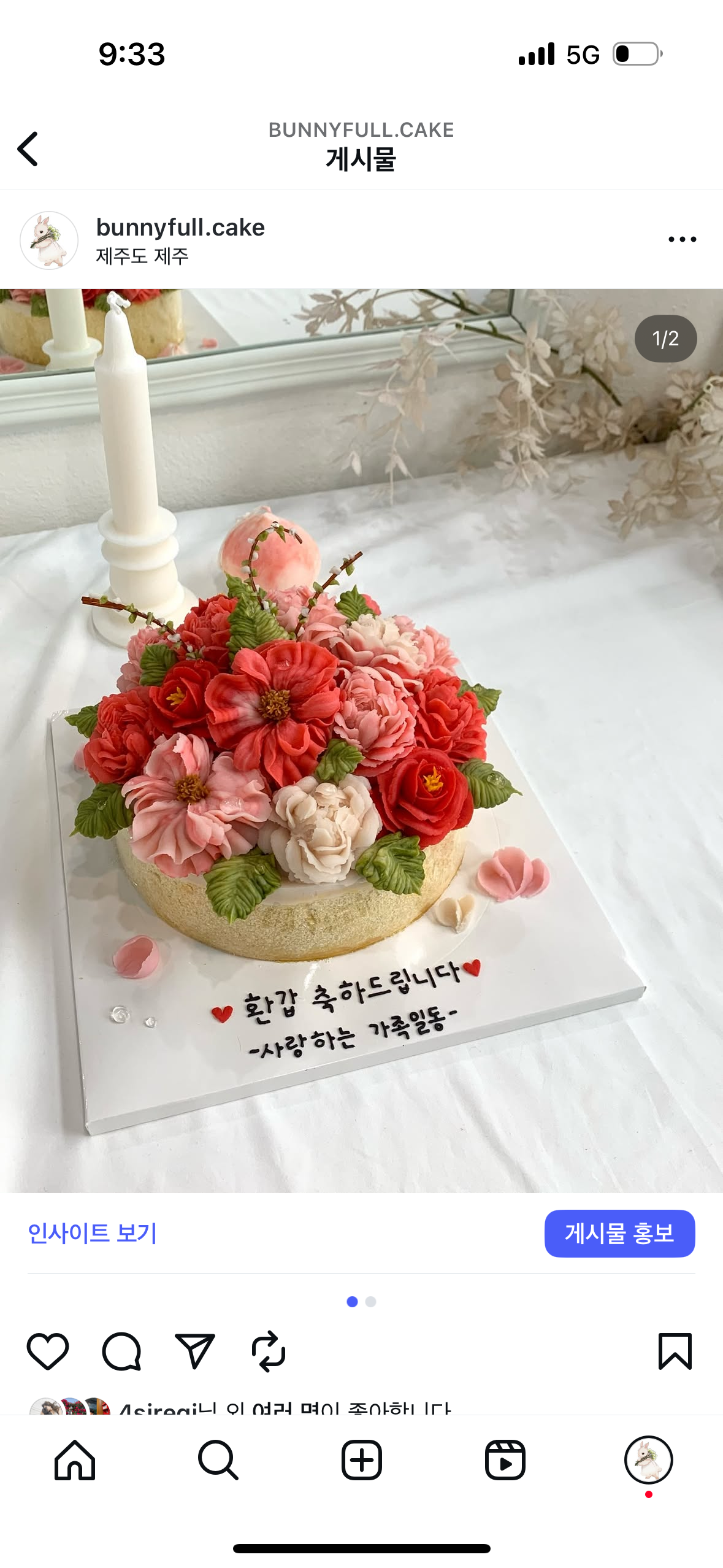 토끼풀 사진 7