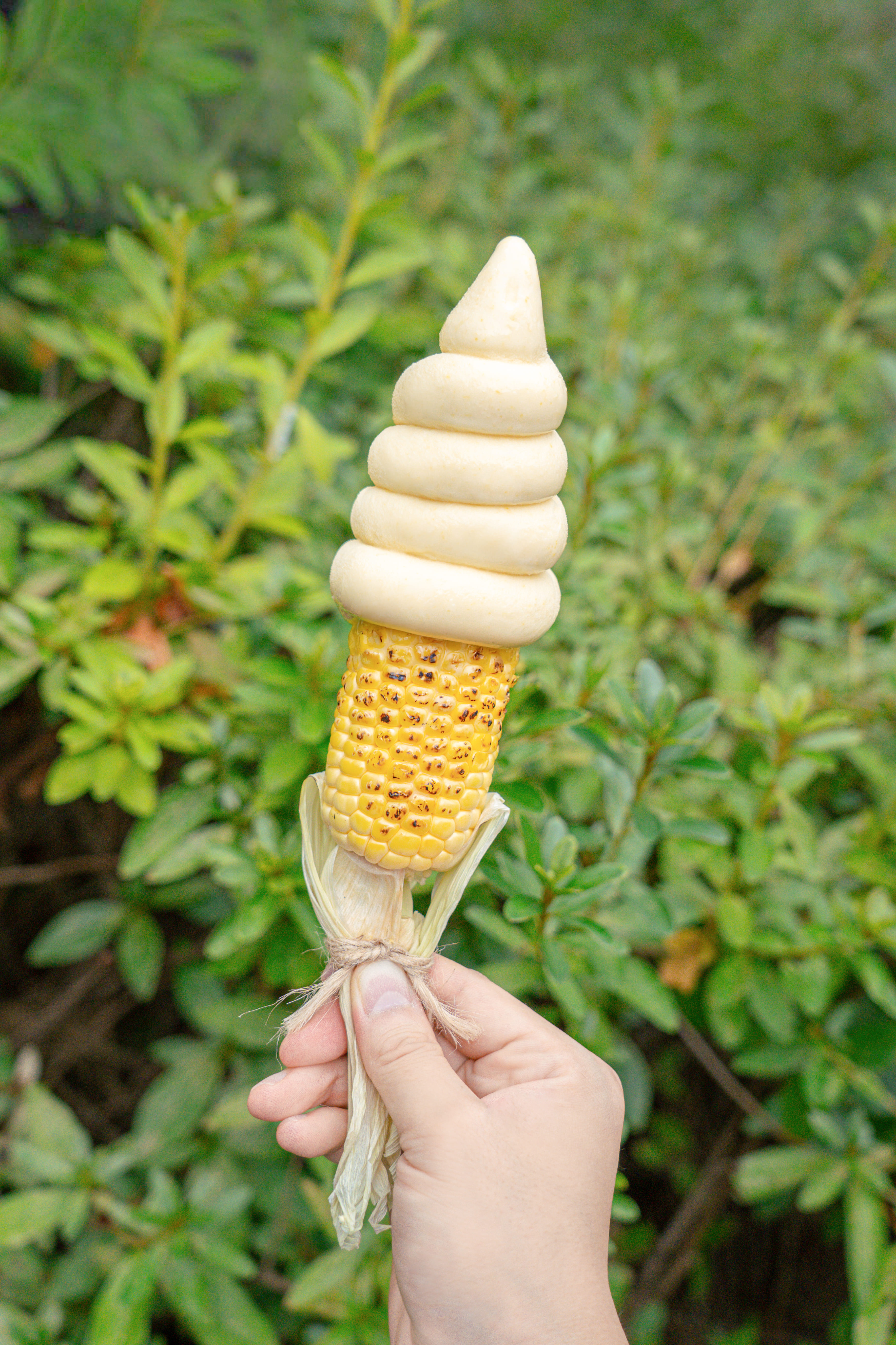 정선담아 사진 3