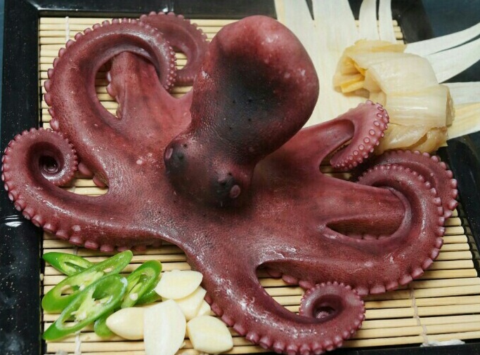 봄날 사진 7