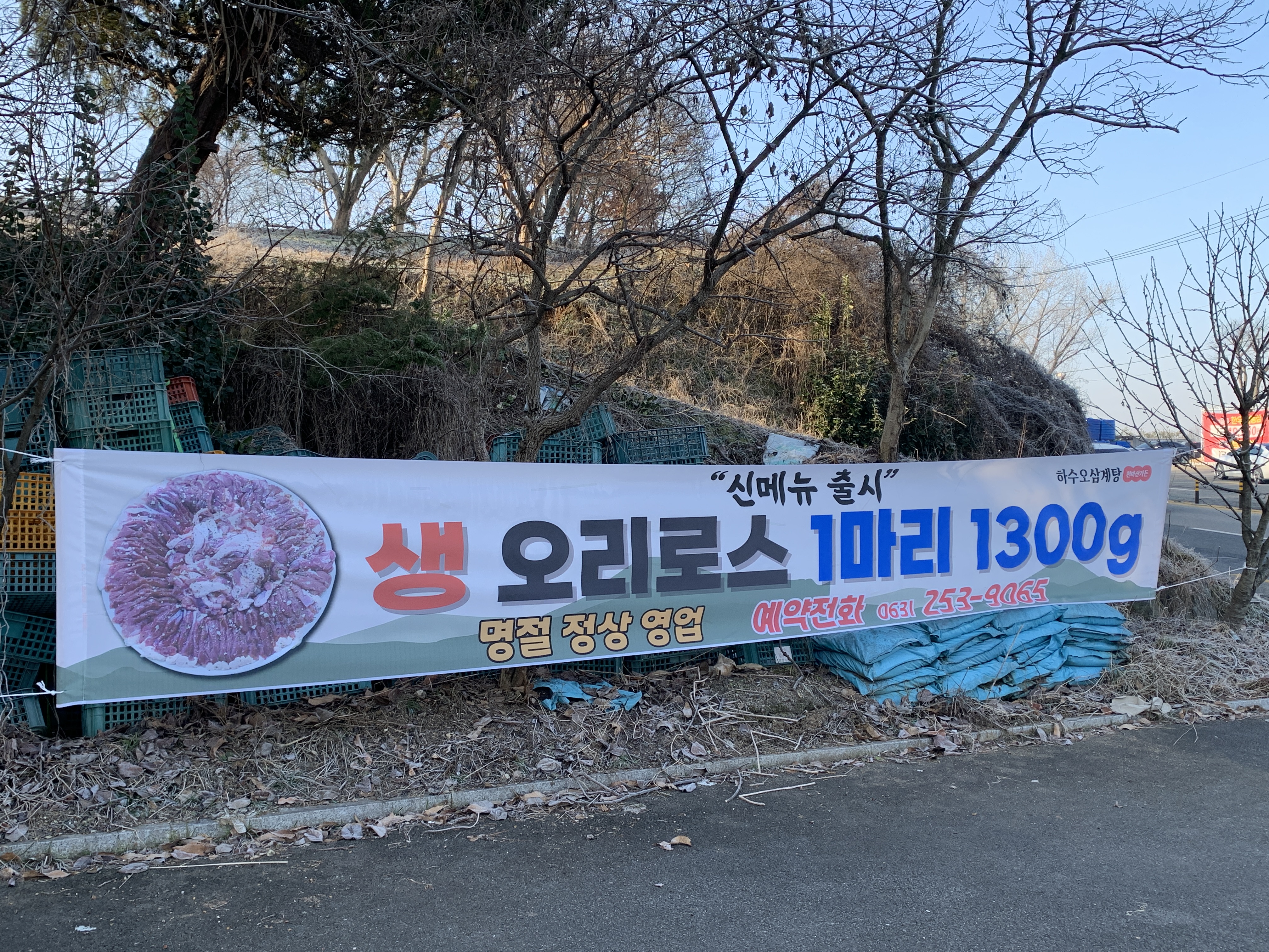 조항세하수오삼계탕 5