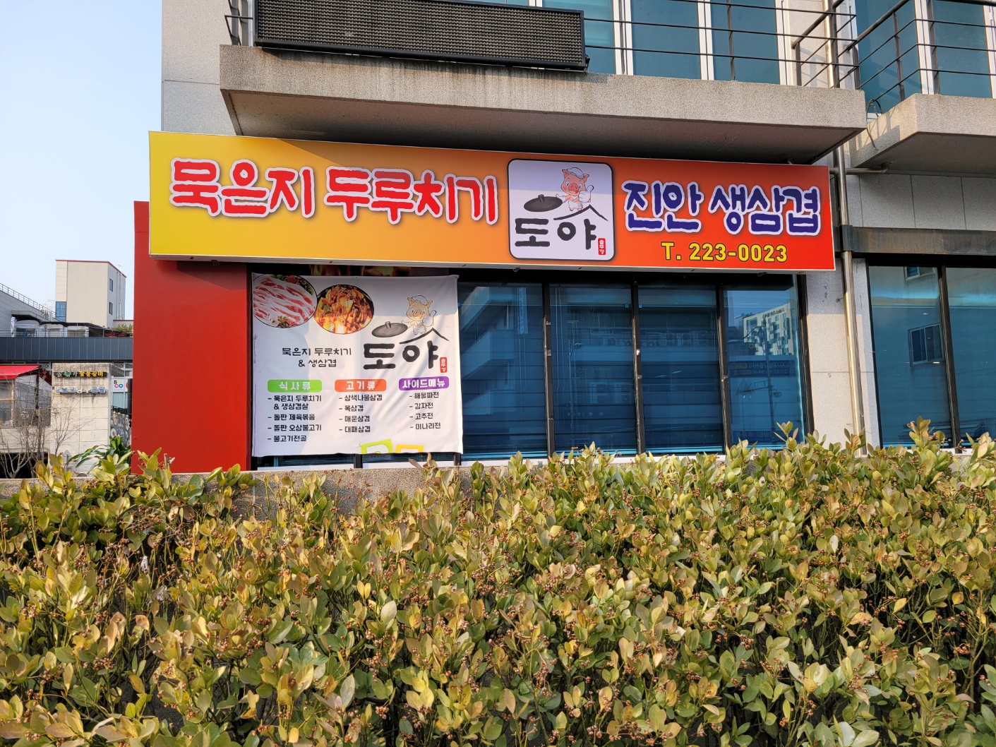 도야 3