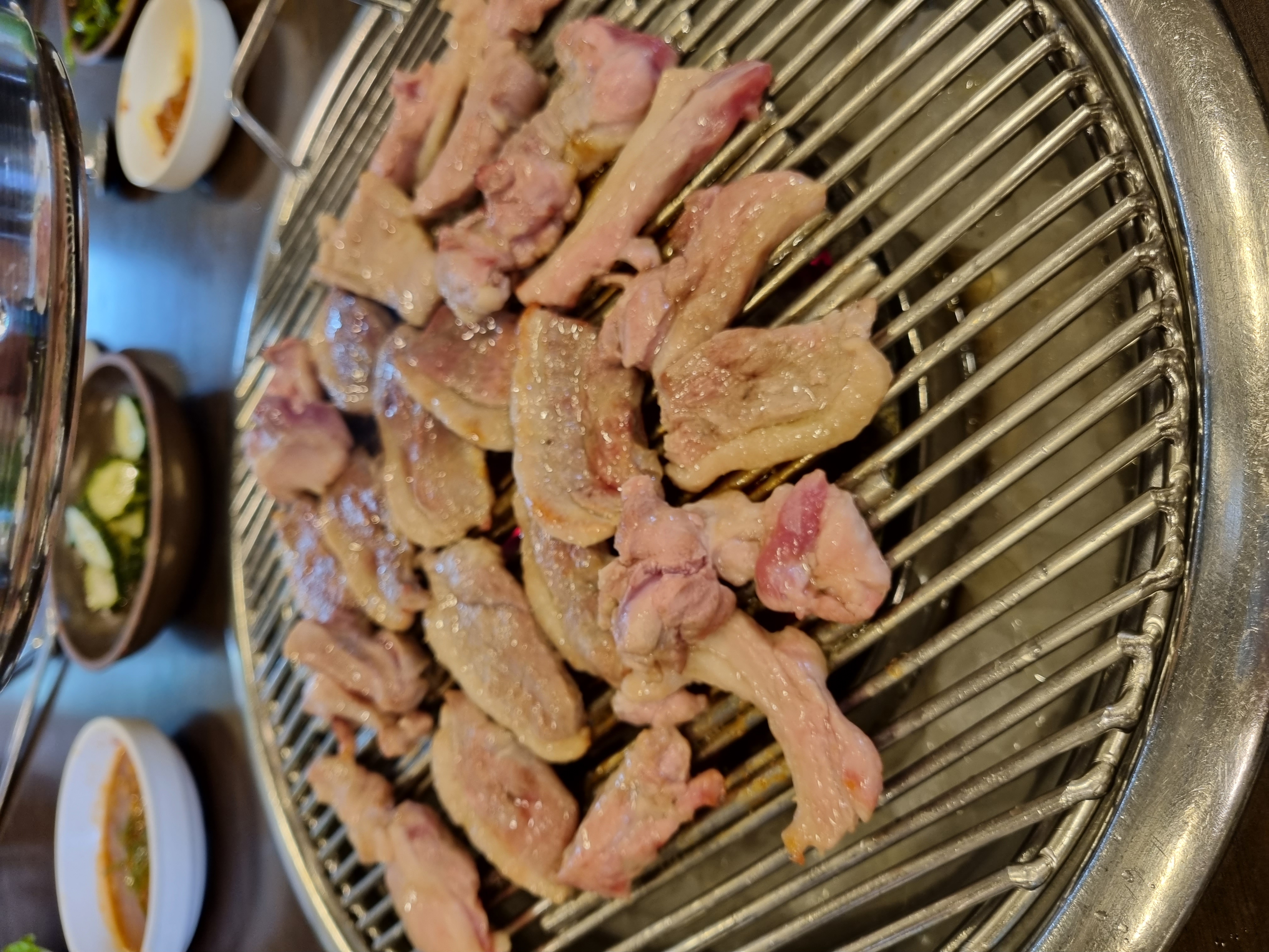 Nakdongsaengori (낙동생오리) 2
