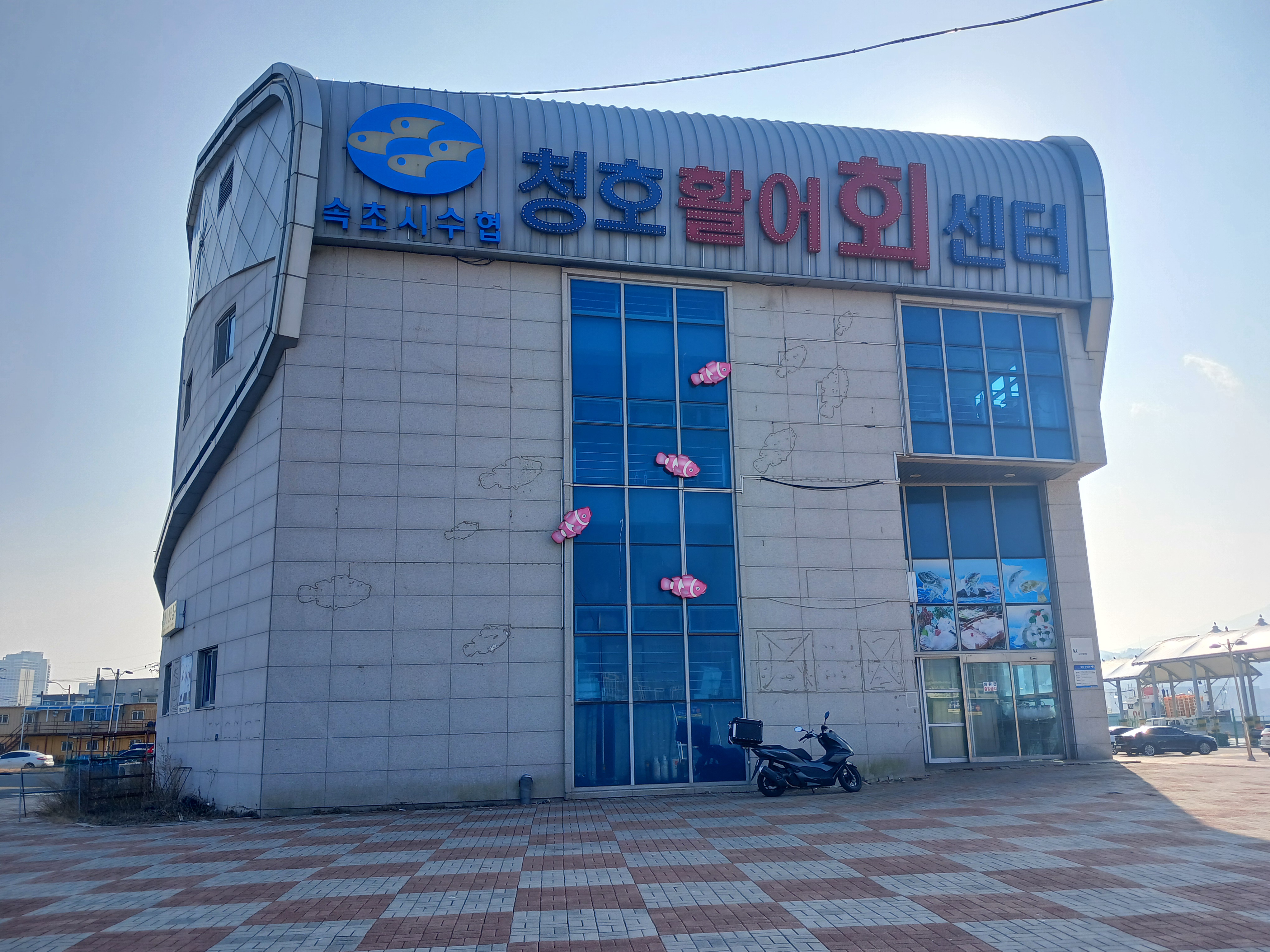 속초수협 순희네횟집 4