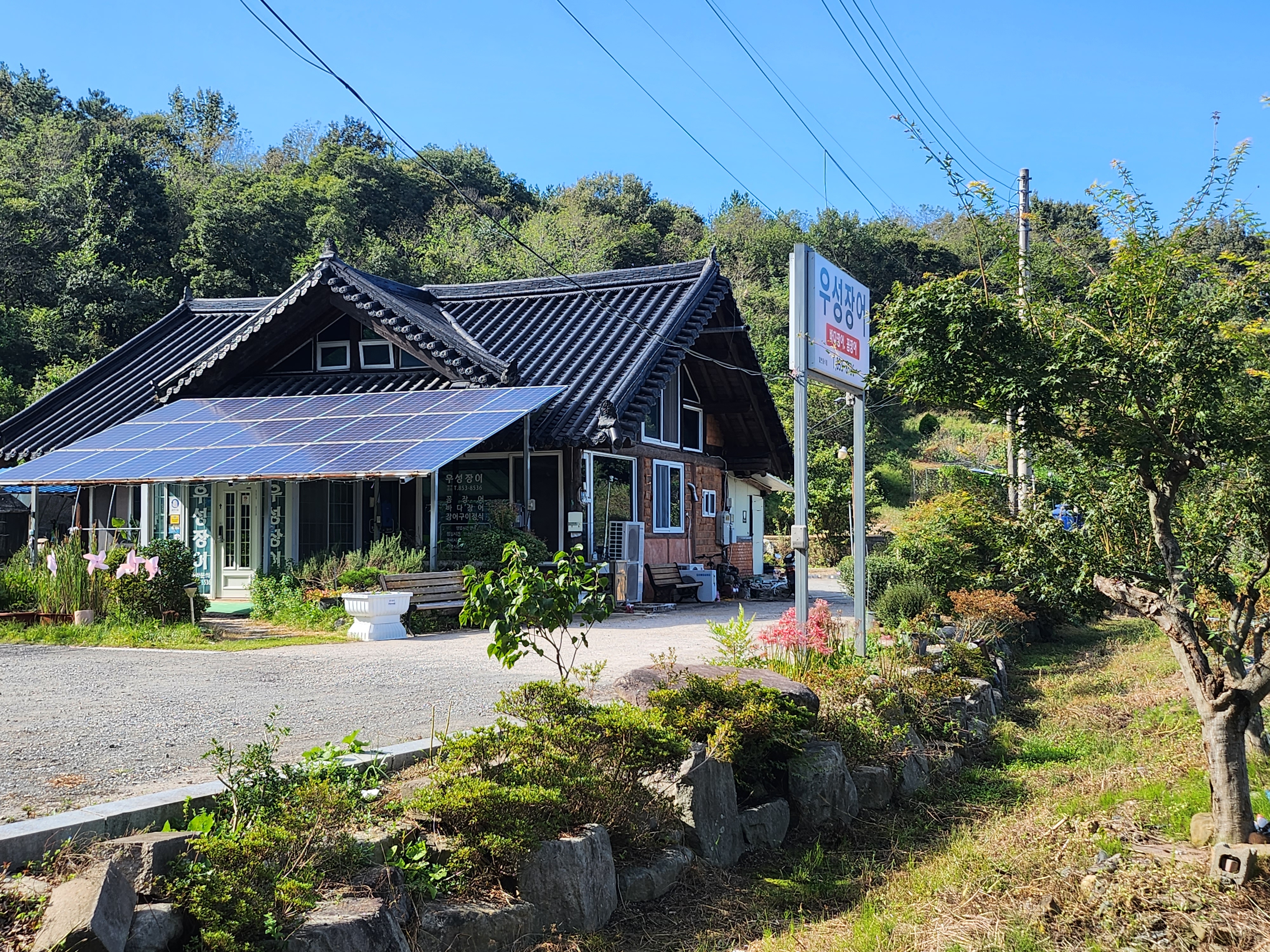 Useongjangeo (우성장어) 2
