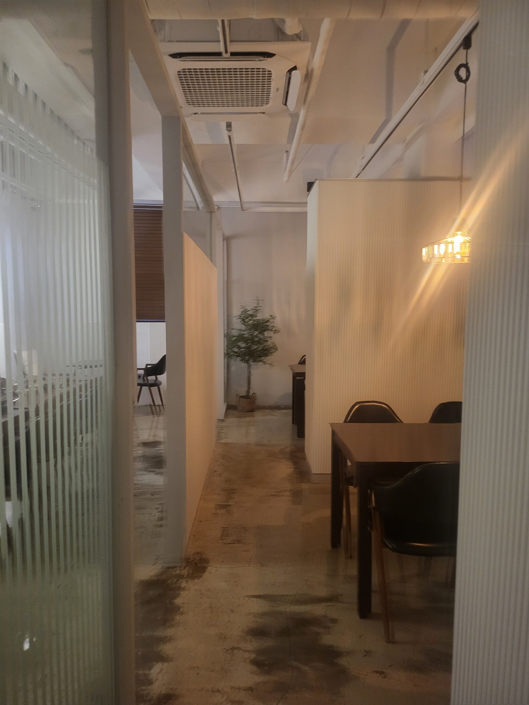 서홍밤 사진 3