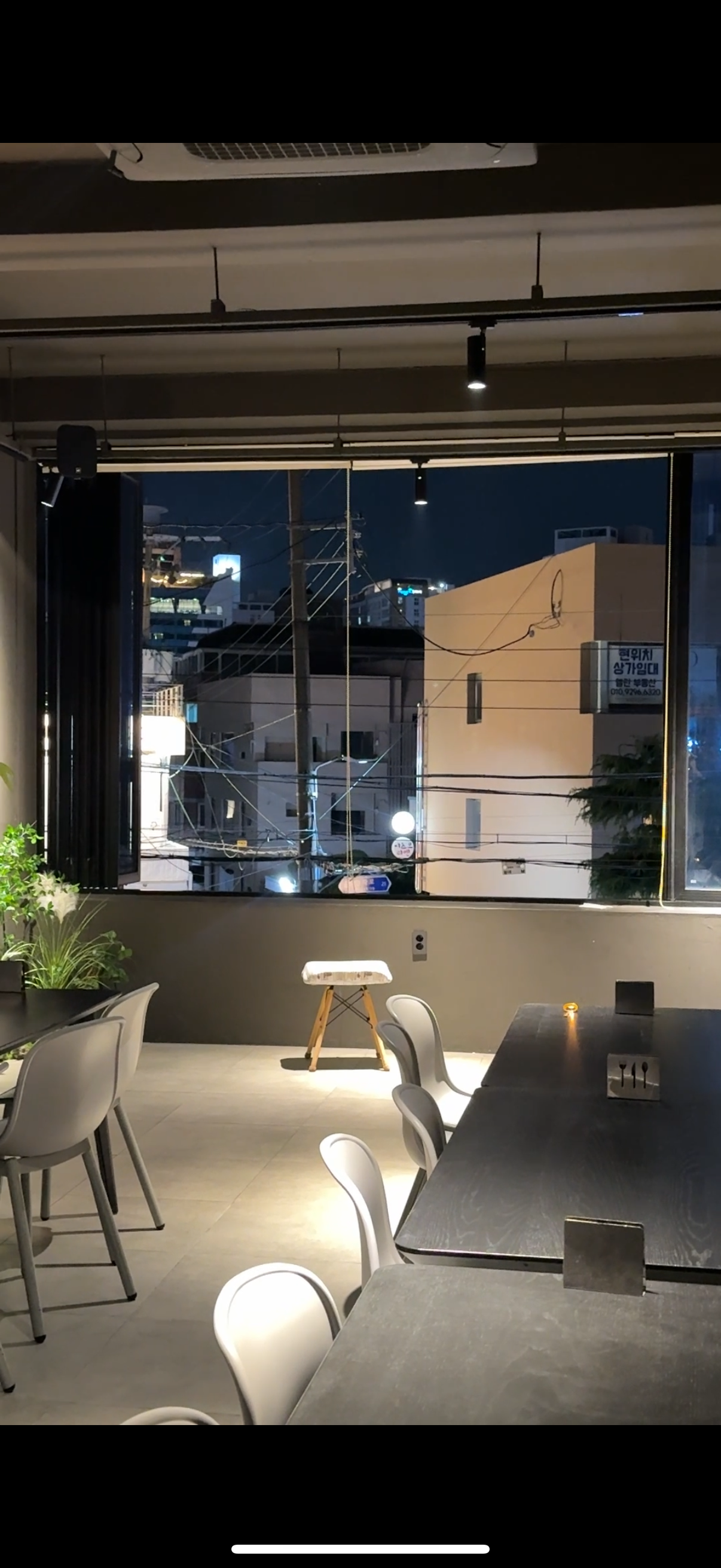 웨이비 사진 2