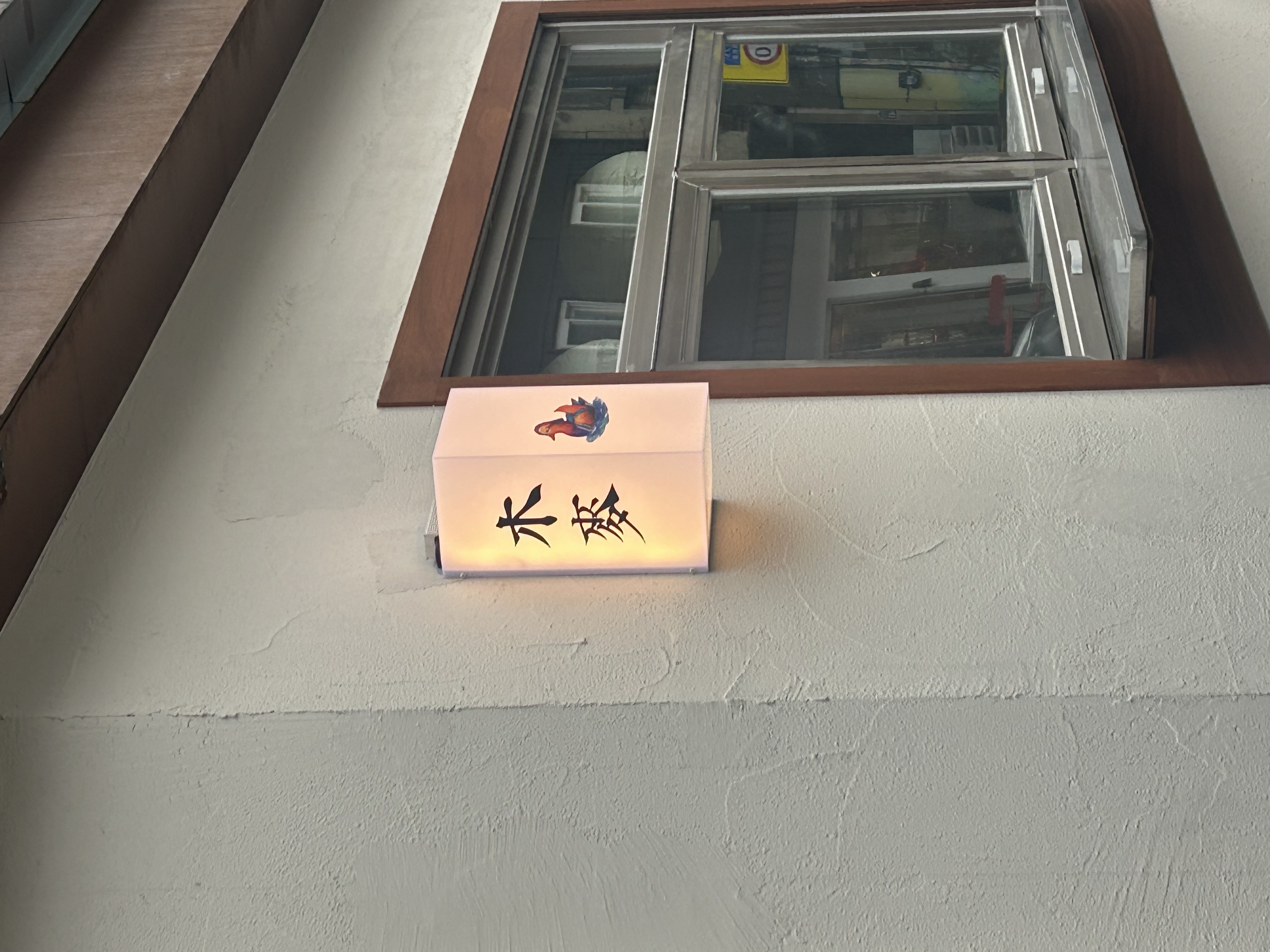 원앙 사진 6