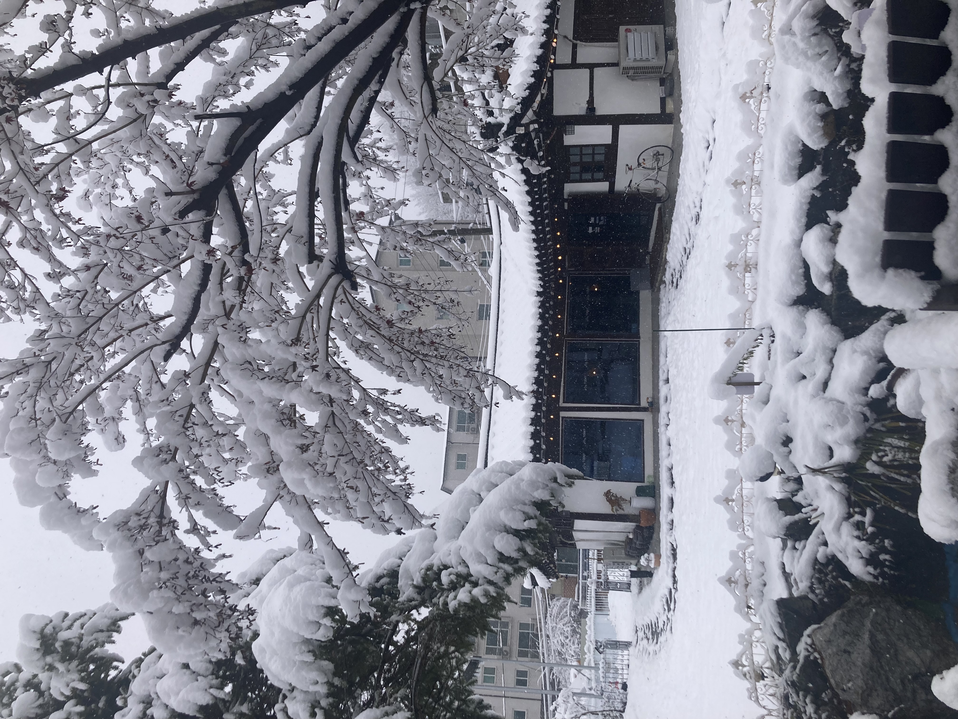 투데이