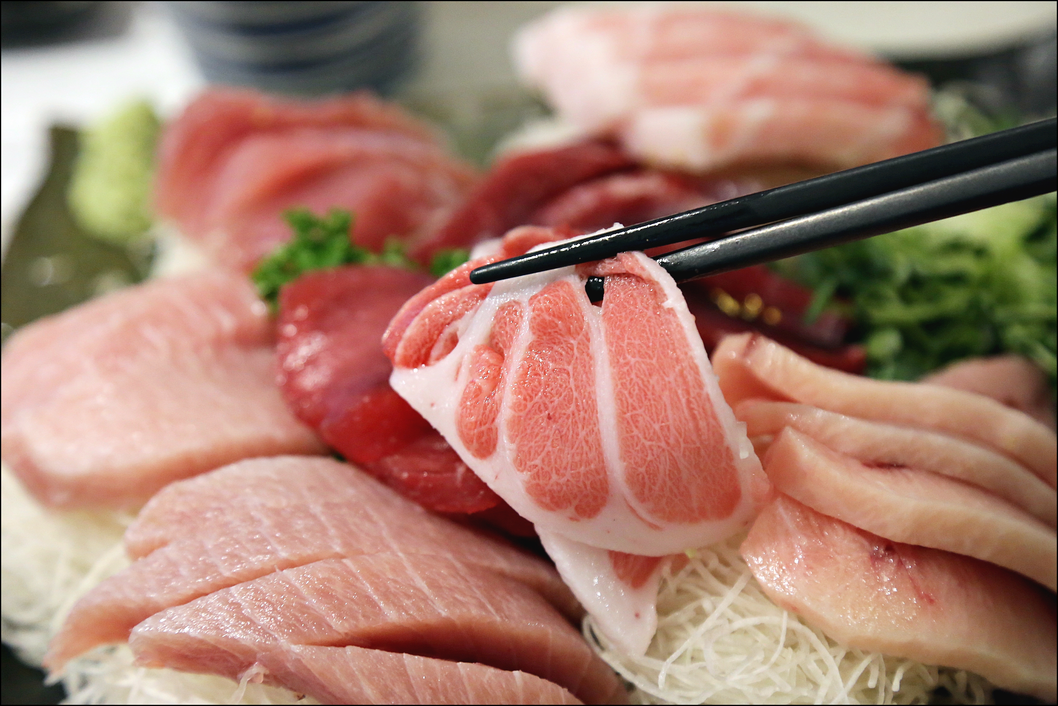 Chamchigongbang (참치공방) 3