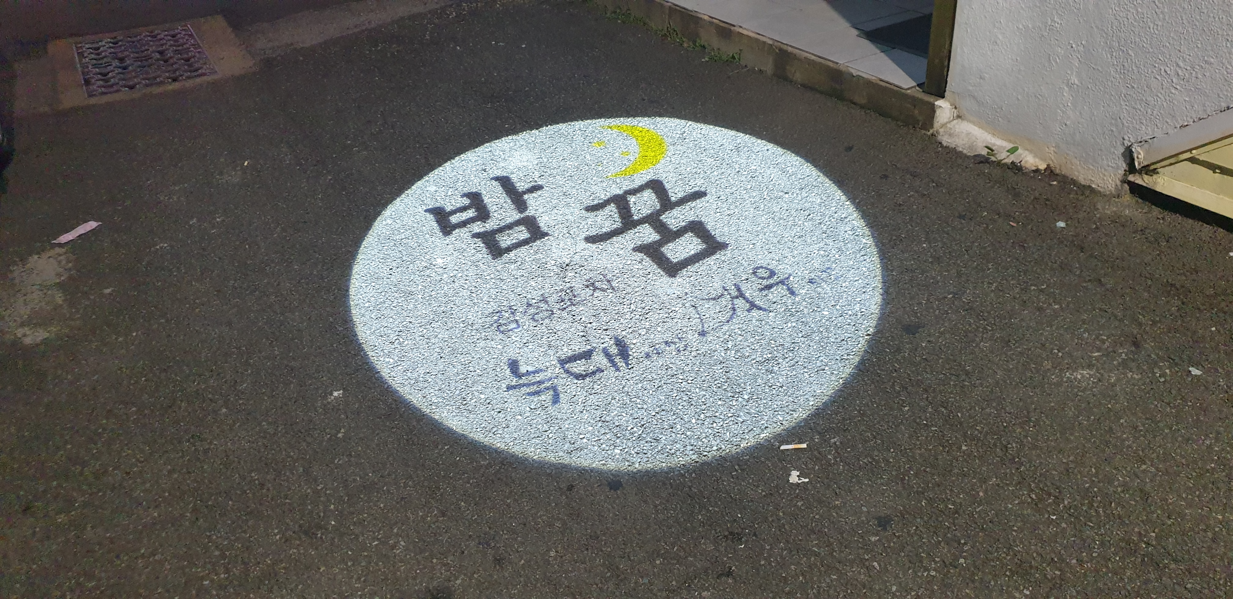 밤꿈 사진 6