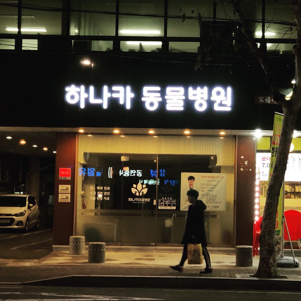 하나카동물병원