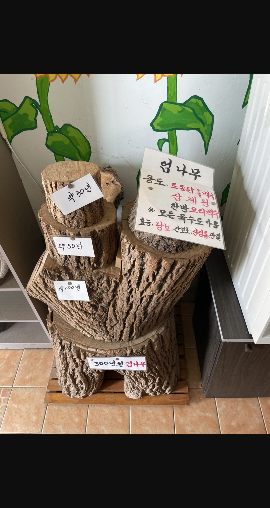 단풍나무집 5