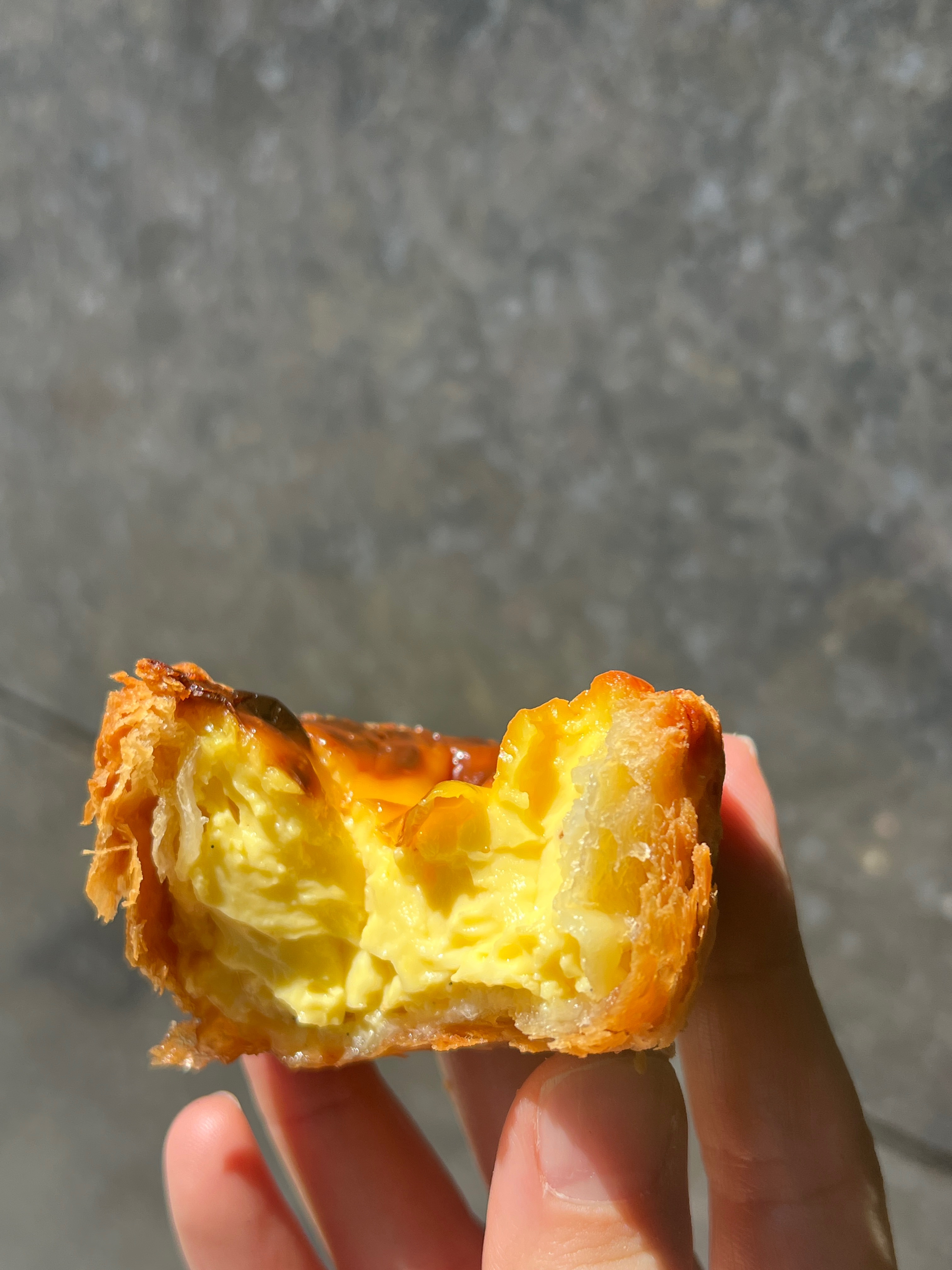 이지에디 사진 2
