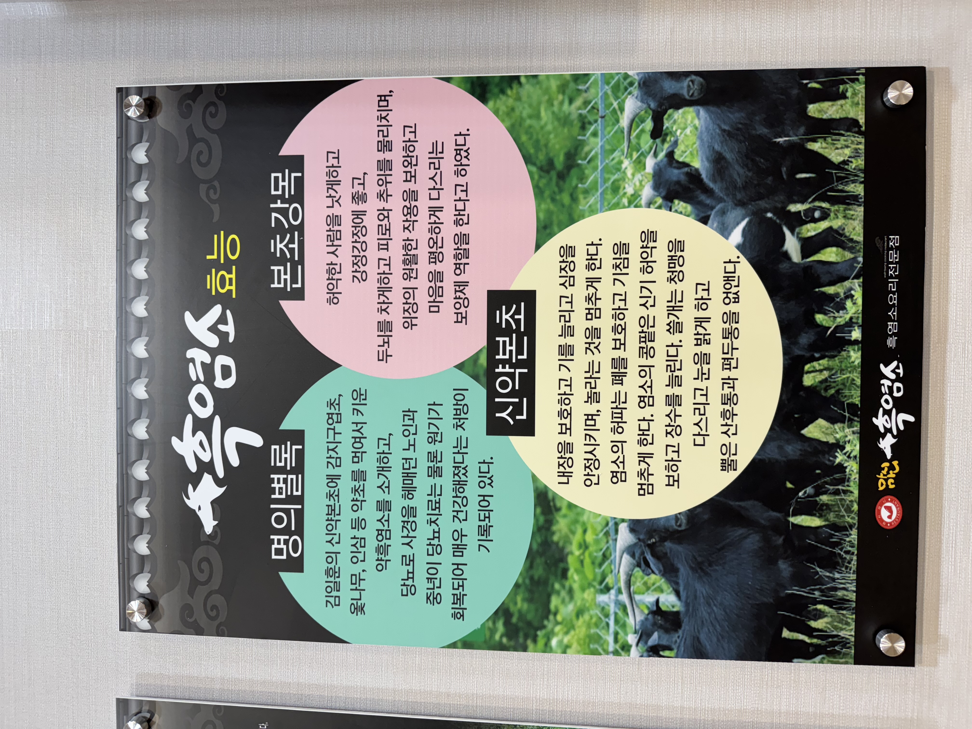 마시마니흑염소 고흥포두면점 사진 6