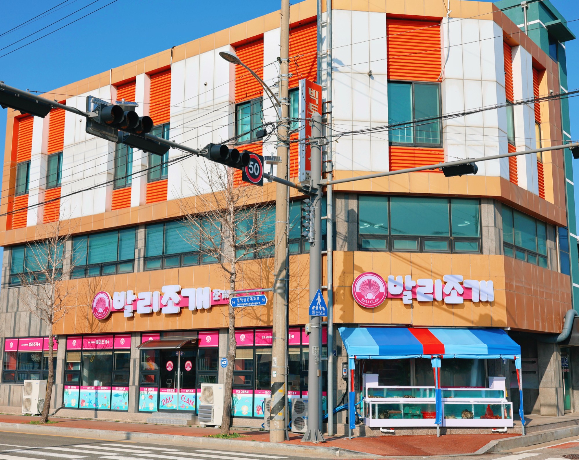 발리조개 7
