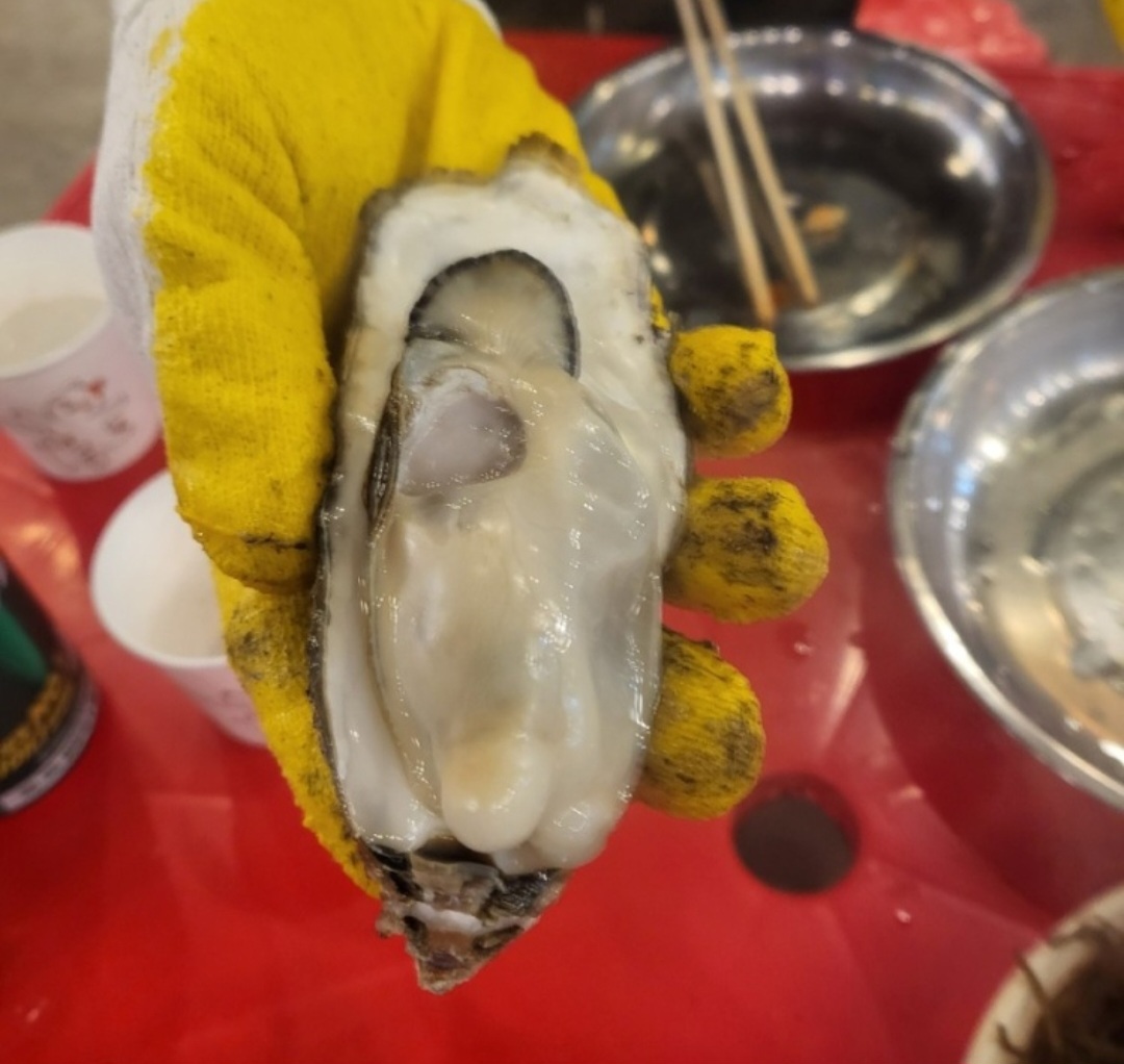 대포한마당횟집 사진 4