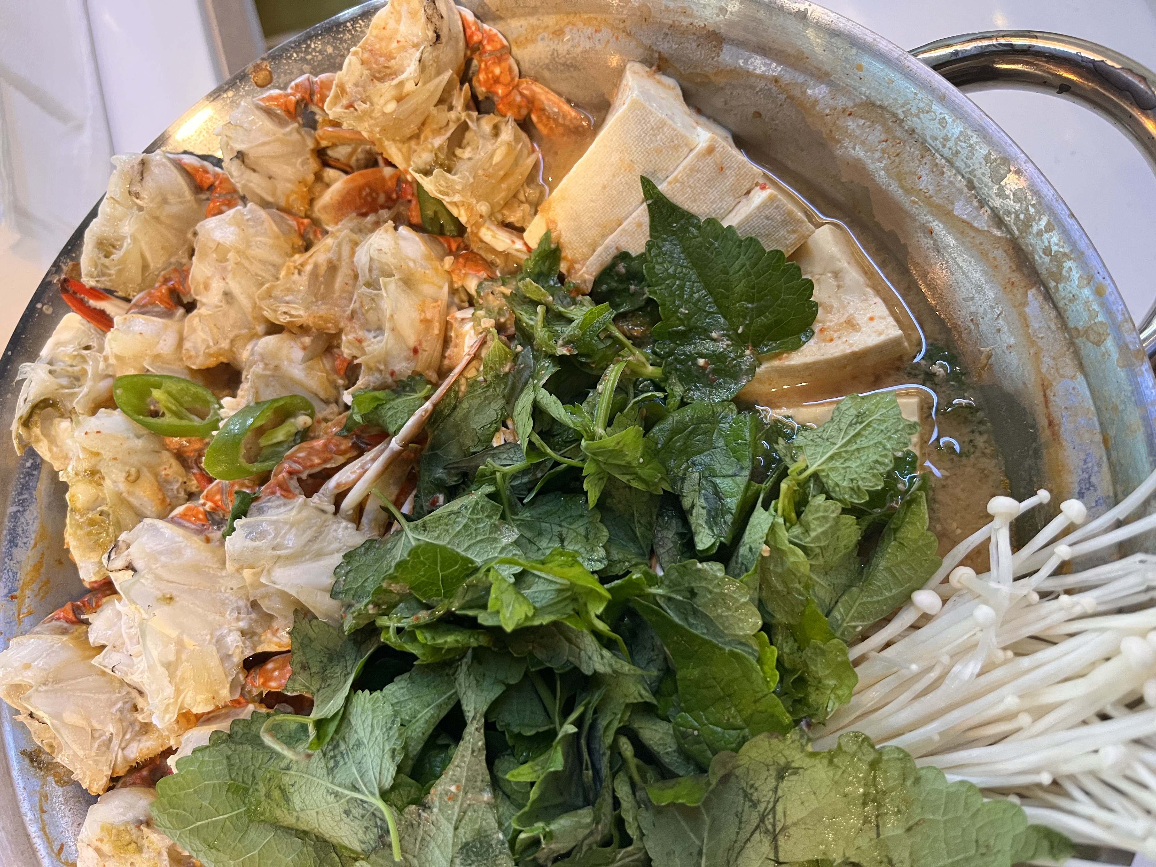 하이고래 사진 6