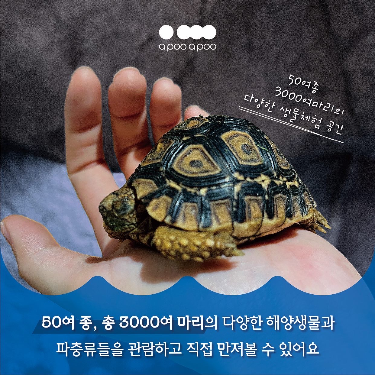 어푸어푸 수원판타지움점 사진 3