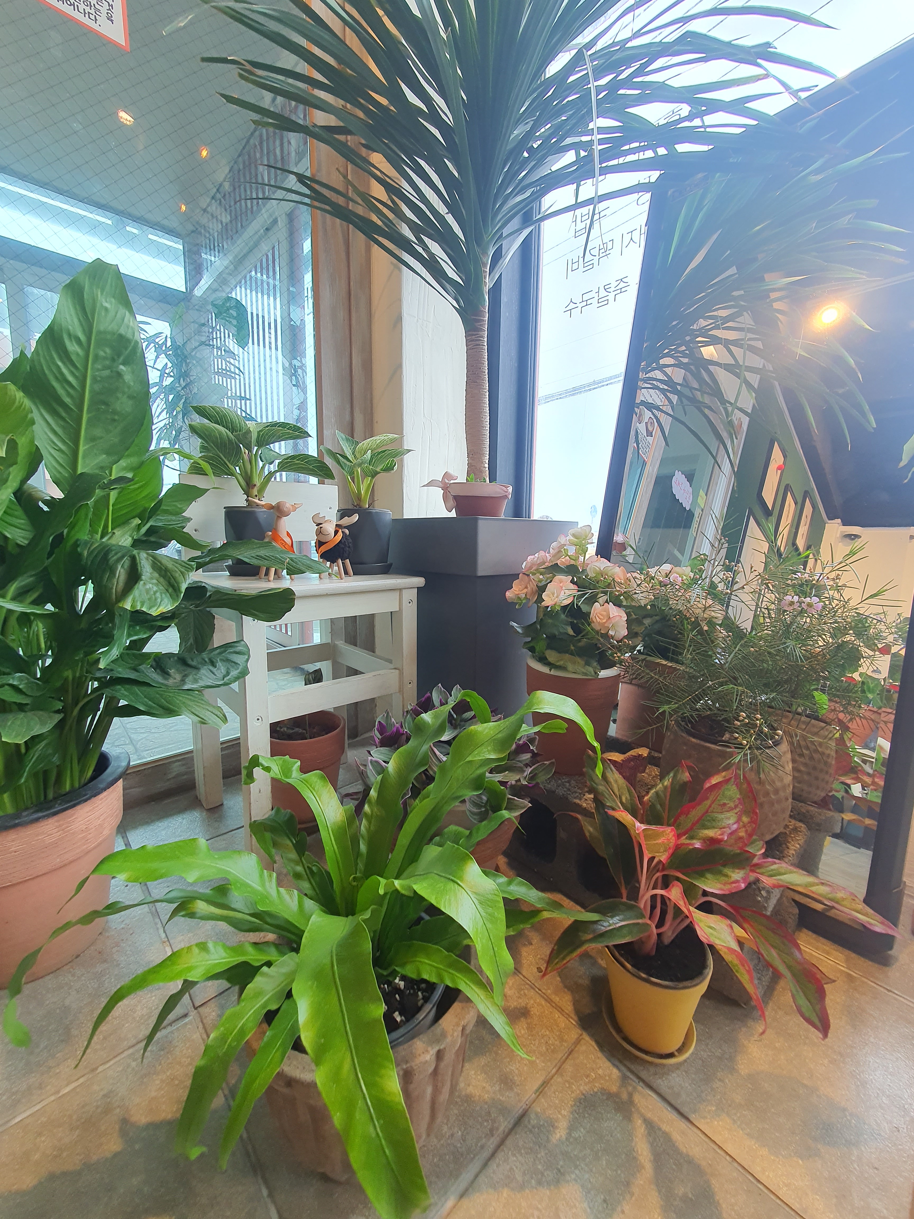 제주온반 사진 8