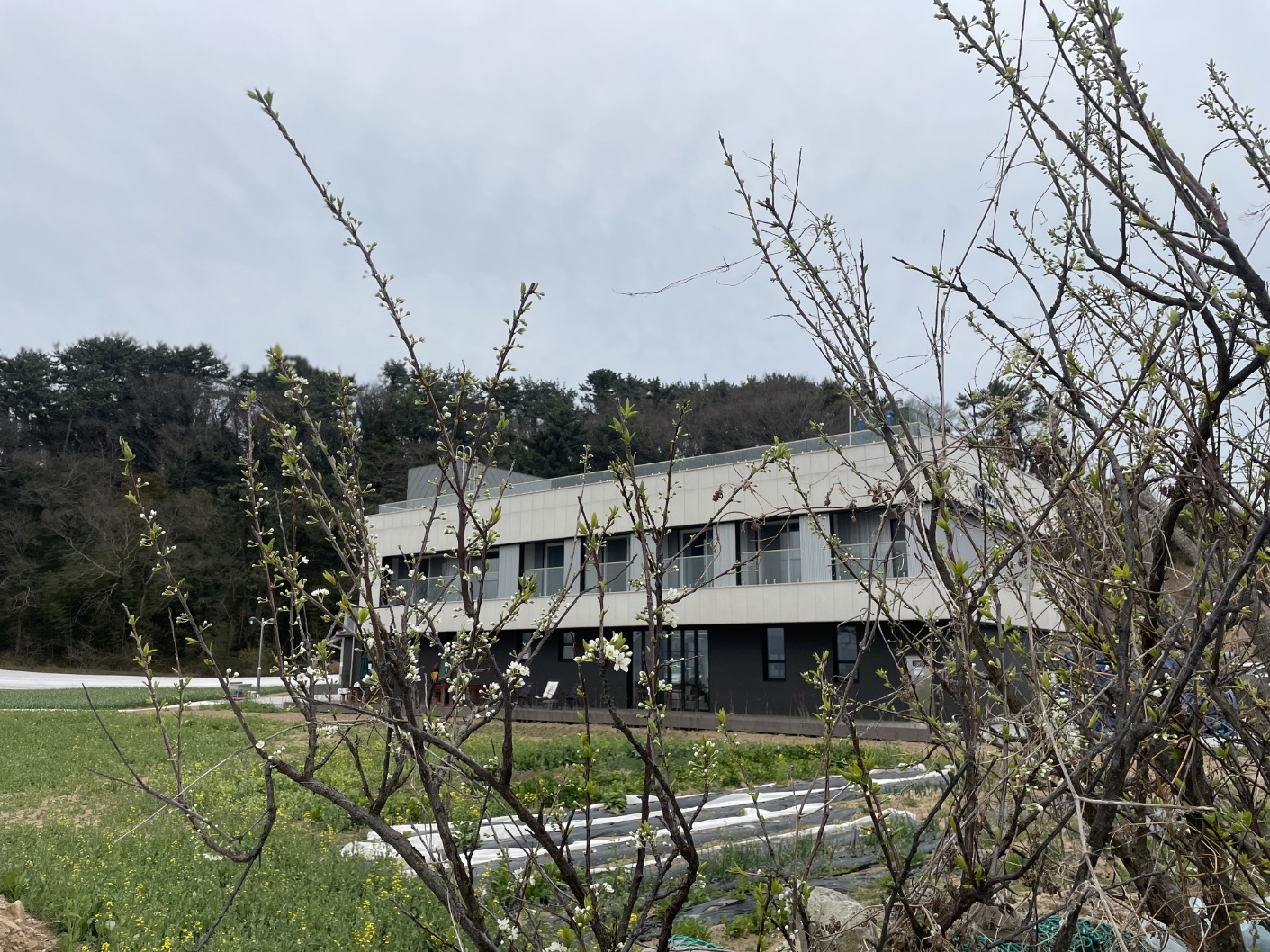 선소207