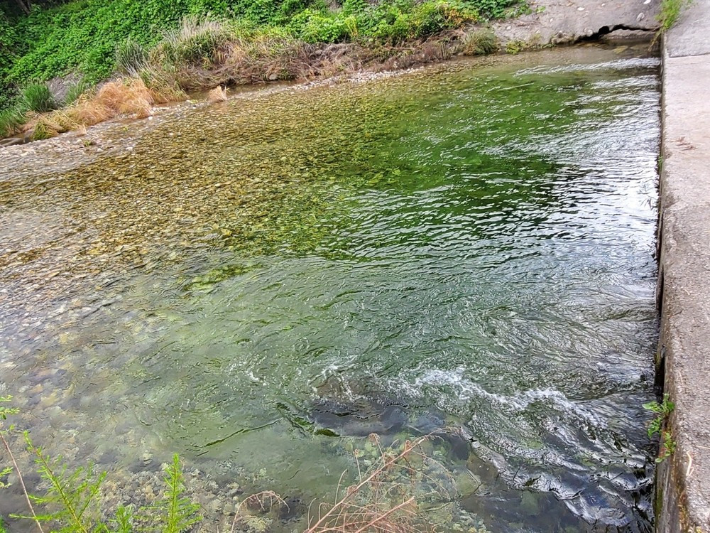 위풍당당펜션 이미지