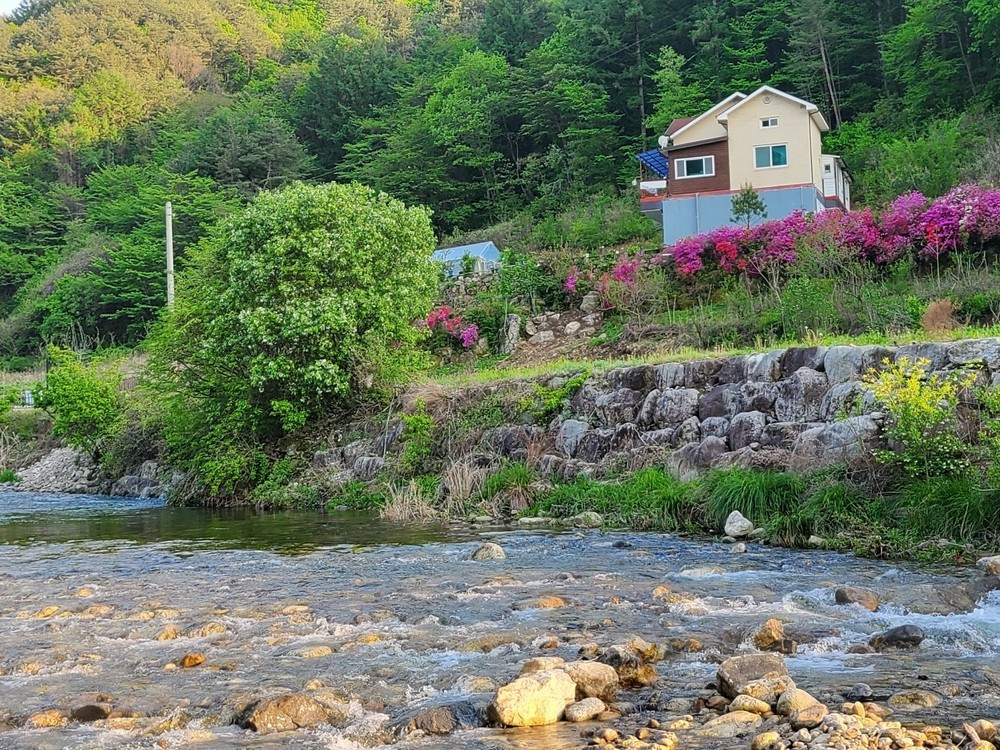 위풍당당펜션 이미지