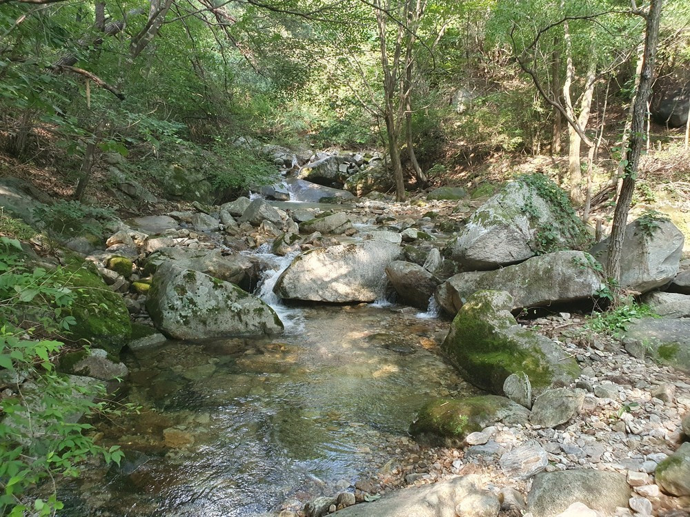별밤 차박 캠핑장 이미지