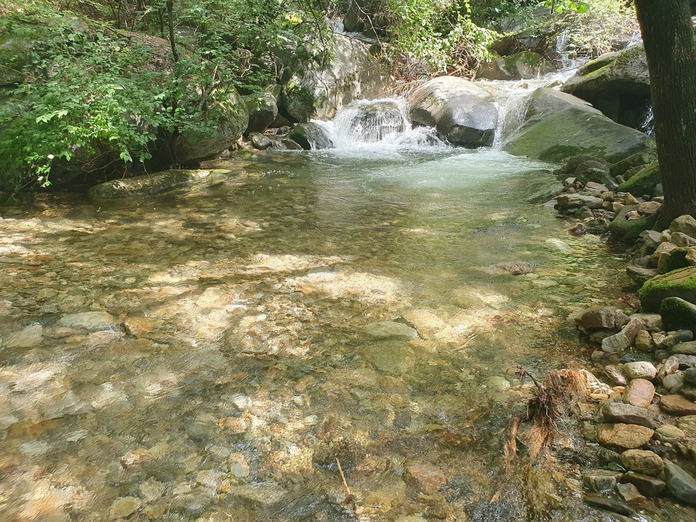 별밤 차박 캠핑장 이미지