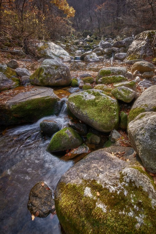 하늘아래별천지 이미지
