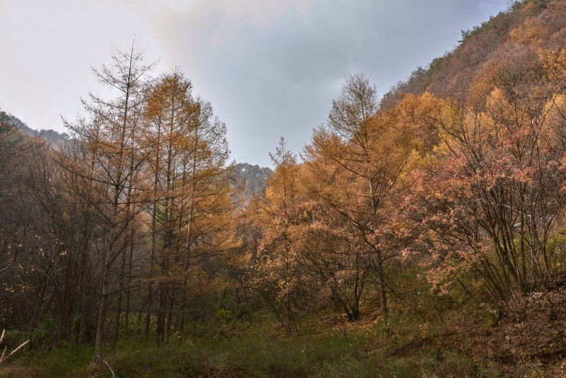 하늘아래별천지 이미지