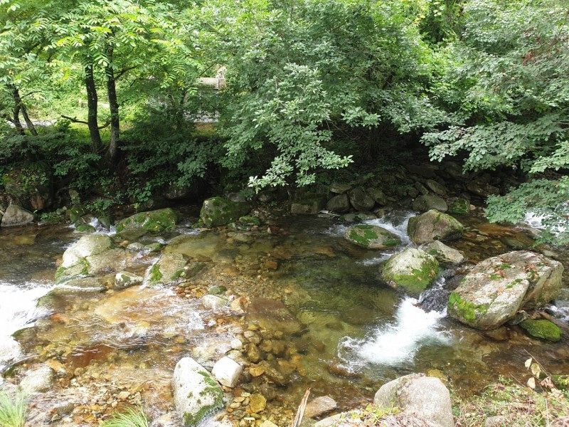 하늘아래별천지 이미지