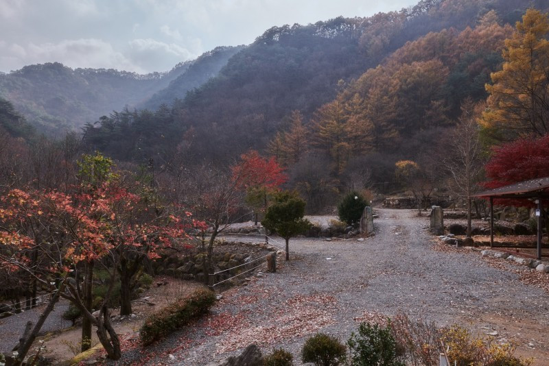 하늘아래별천지 이미지