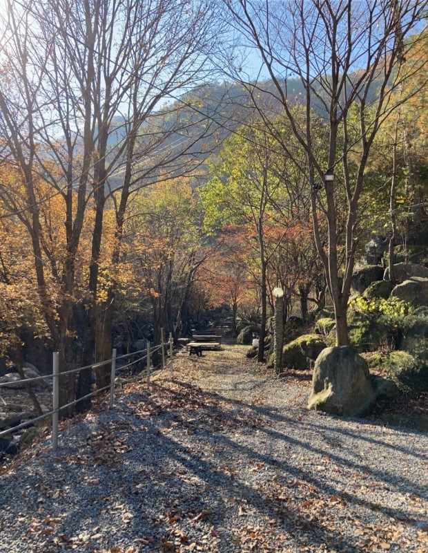 하늘아래별천지 이미지