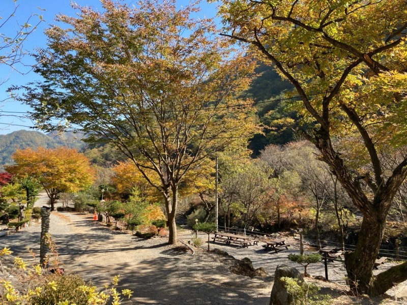 하늘아래별천지 이미지