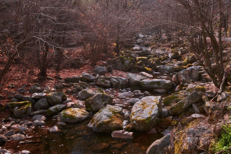 하늘아래별천지 이미지