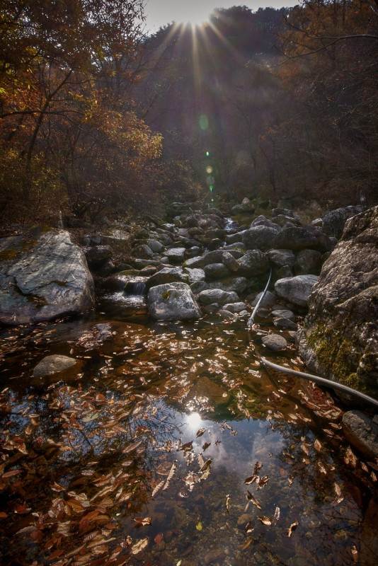 하늘아래별천지 이미지