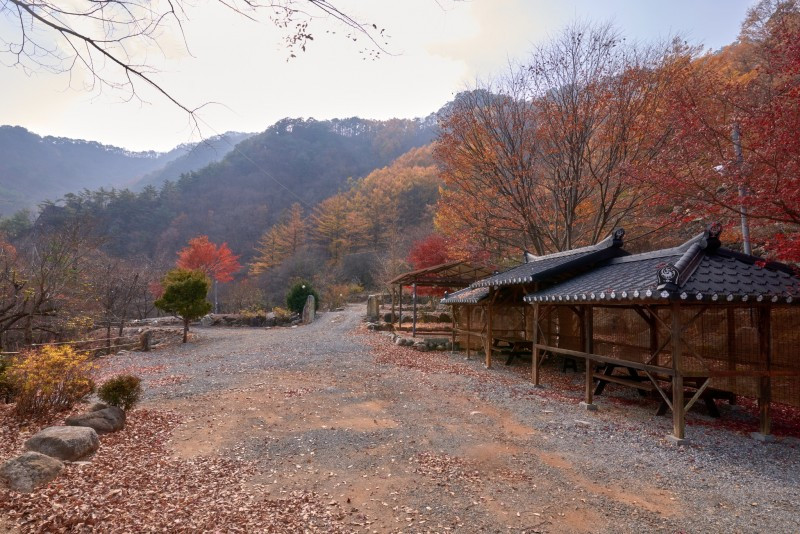 하늘아래별천지 이미지