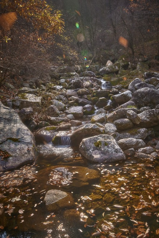 하늘아래별천지 이미지