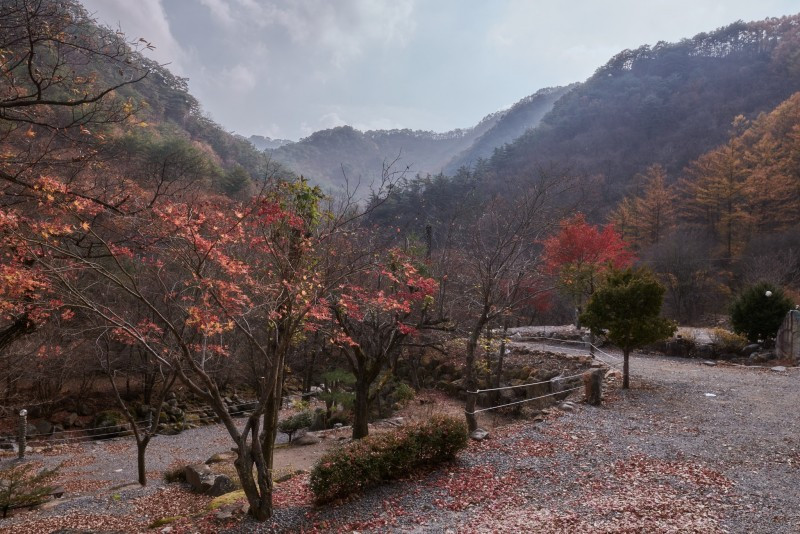 하늘아래별천지 이미지