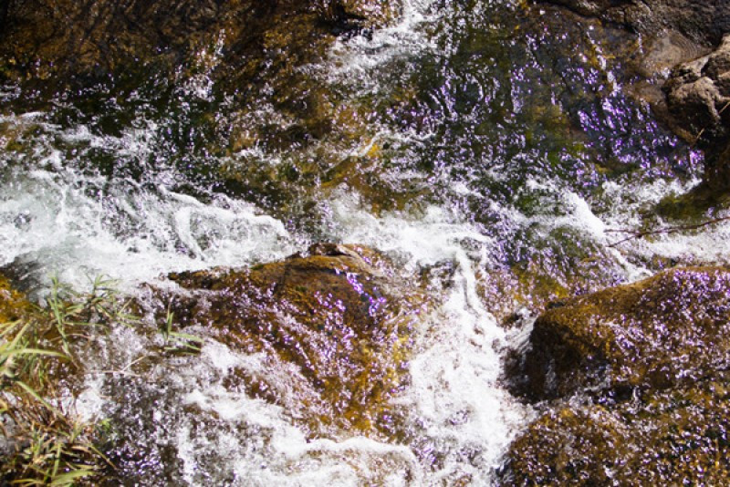 마실펜션 이미지