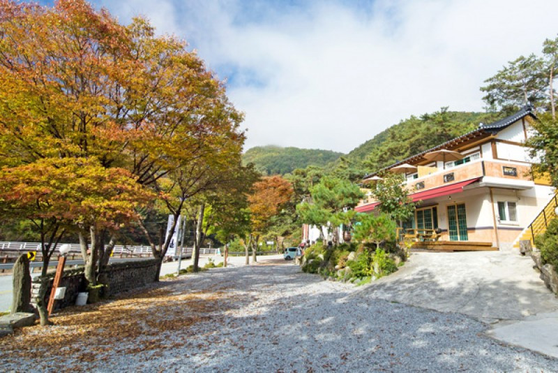 마실펜션 이미지