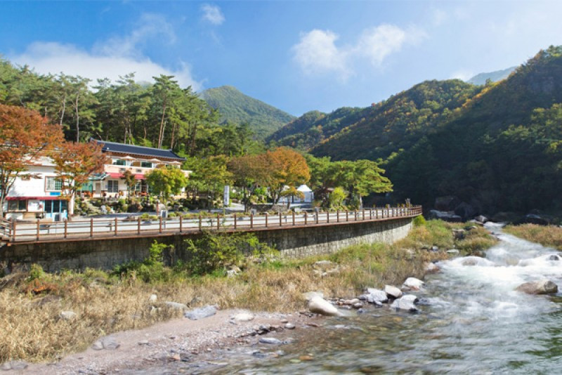 마실펜션 이미지