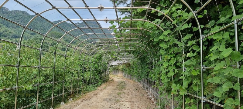 노엘의다락방 이미지